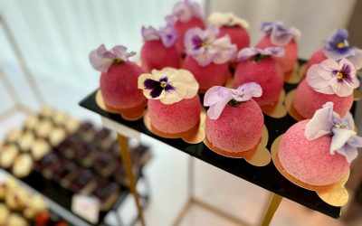 e05fc486-f985-43b5-ba69-f1efe6d565a9